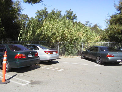 sample image 2