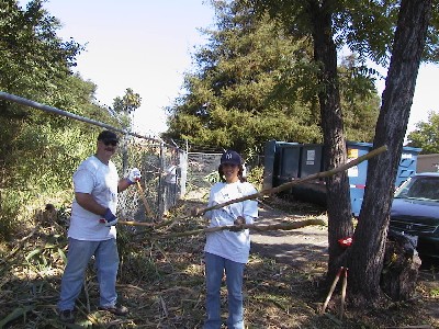 sample image 3