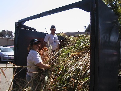 sample image 4