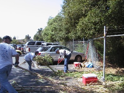 sample image 2