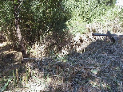 sample image 1